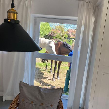 Appartement Im Alten Pferdestall Salzhausen Exterior foto