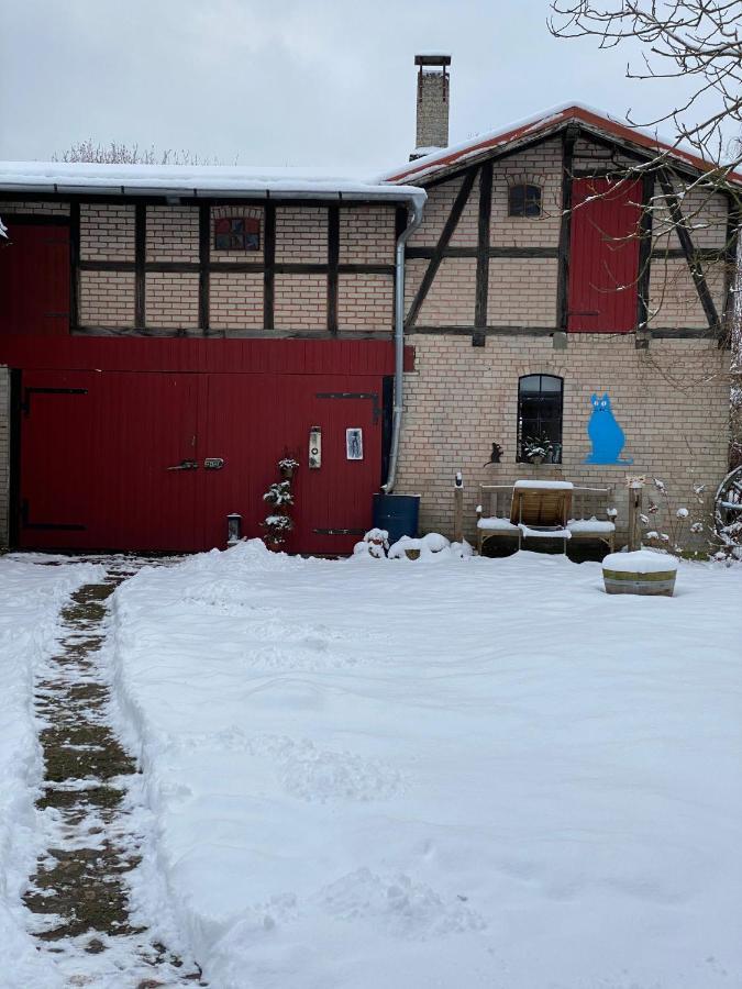 Appartement Im Alten Pferdestall Salzhausen Exterior foto